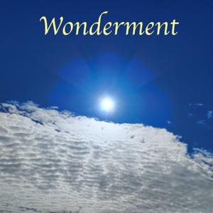 Wonderment