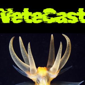VeteCast