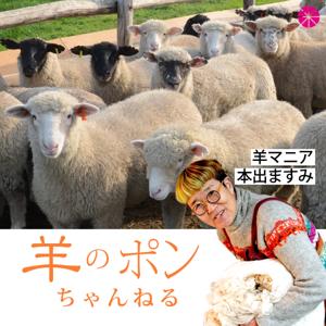 羊のポンちゃんねる
