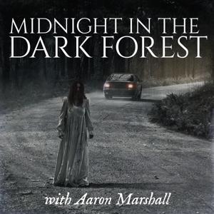 Midnight in the Dark Forest