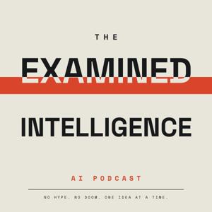 The Examined Intelligence