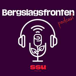 Bergslagsfronten podcast