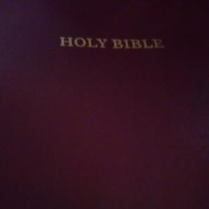 The Holy Bible by GlpcJdb