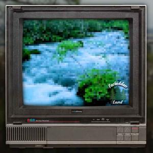 Forbidden TV