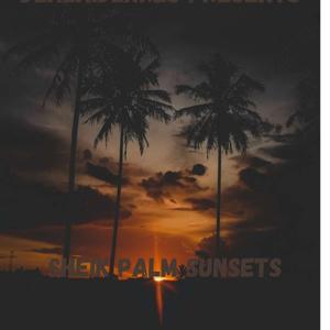 Sheik Palm Sunsets