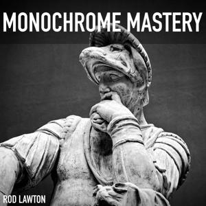 Monochrome Mastery: Shoot, See, Perfect