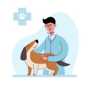 Next-Gen Vet Talk