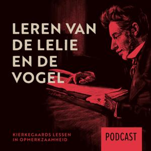 Leren van de lelie en de vogel
