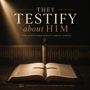 They Testify about Him