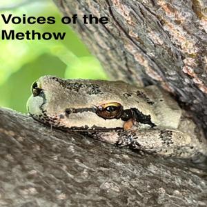 Voices of the Methow