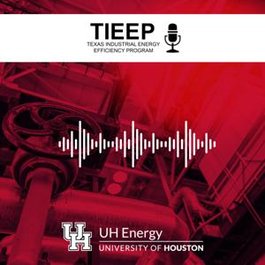 Texas Industrial Energy Efficiency Program (TIEEP)