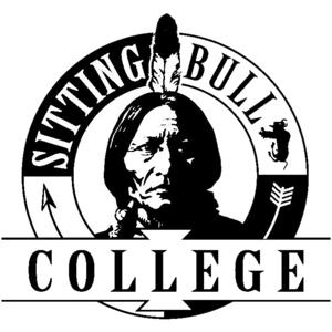 Business and Tribal Law Environments