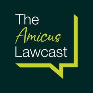 Amicus Law Cast