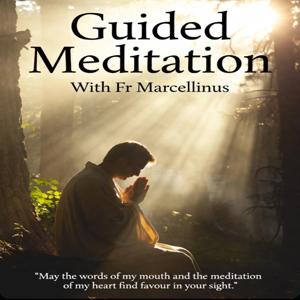 Guided Meditation 🧘🏾‍♂️
