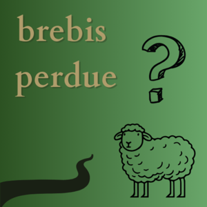 Brebis Perdue ?