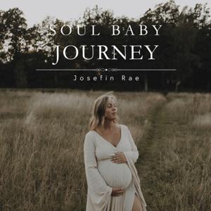 Soul Baby Journey