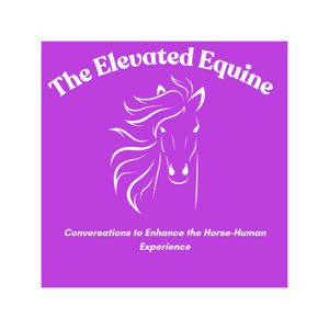 The Elevated Equine