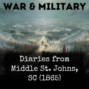 Diaries from Middle St. Johns, SC (1865)