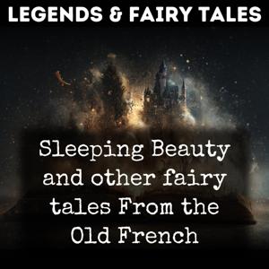 Sleeping Beauty and other fairy tales From the Old French