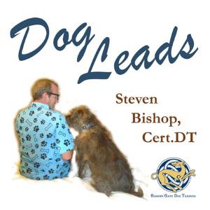 Dog Leads