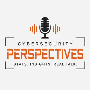 Cybersecurity Perspectives