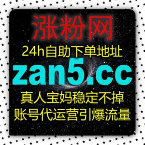 进阶实操心得 破局指南 巧用 zansu.cc 打通小红书爆款图文笔记算法推荐通道