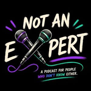 Not An Expert