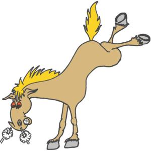 Mad Tack Unbridled