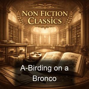 A-Birding on a Bronco