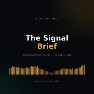 Signal Brief · Steady State Radio