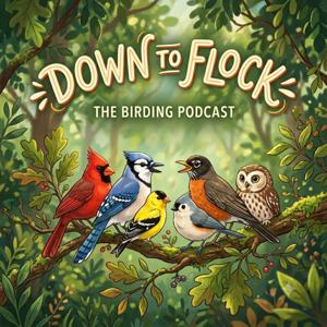 Down To Flock: A Podcast About Birds and Birding