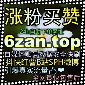 打造极速引流闭环复制 zan6.top 掌握视频号粉丝精准积累策略轻松盘活微信全域流量