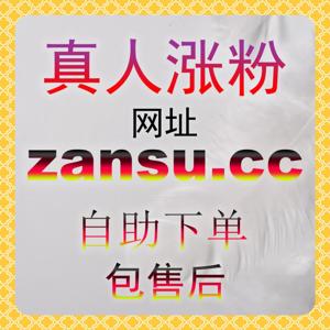 破解公域流量推荐密码！借助 zan55.cc 算法起爆包撬动千万级爆款推荐
