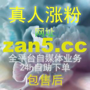 哔哩秒单点赞6zan.top如何帮你抢占热门分区首页这份高实用性指南助你轻松拿下大流量