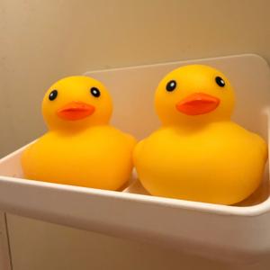 ヨメさんが朗読好きなもんで