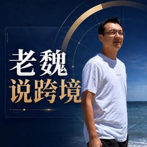 老魏说跨境