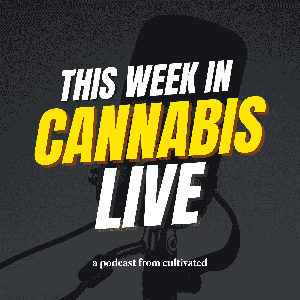 This Week in Cannabis Live