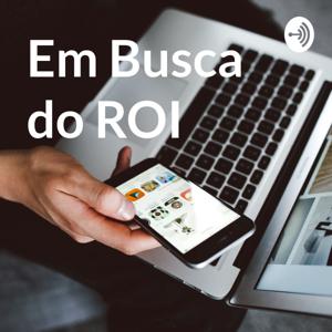 Em Busca do ROI