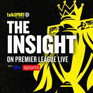 The Insight