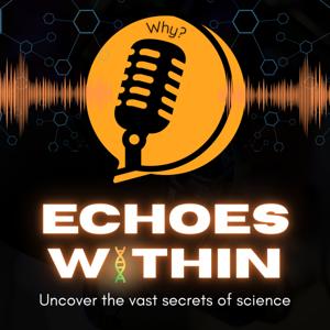 Echoes Within