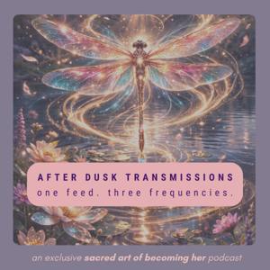 After Dusk Transmissions | One Feed. Three Frequencies.
