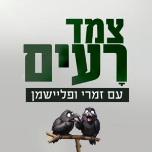 צמד רעים | יותם זמרי ואיתמר פליישמן