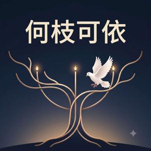 何枝可依