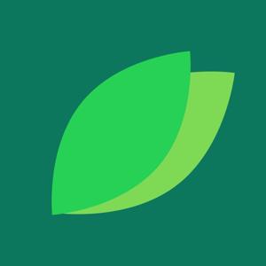 LittleLeaf