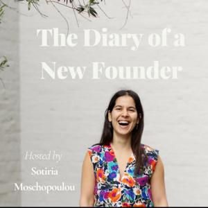 The Diary of a New Founder
