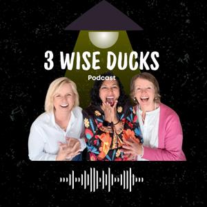 3 Wise Ducks