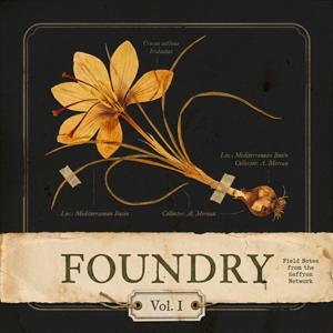 Foundry