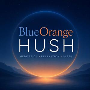 BlueOrange HUSH