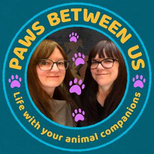 Paws Between Us - Life with your animal companions