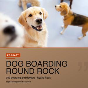 Dog Boarding Round Rock